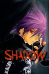 Fallen Shadow