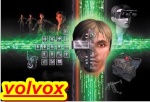 volvox