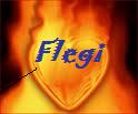 Flegi