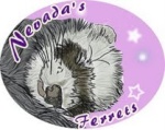 Nevada's Ferrets