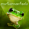 Metamorfosis