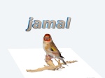 jamal