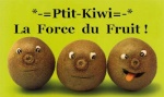 *-=Ptit-Kiwi=-*