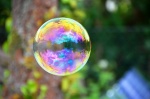 la bulle