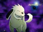 akamaru