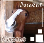 Jument Alezane