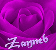 Zayneb