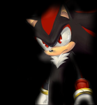 Shadow the hedgehog