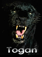 Togan