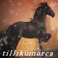 Tillikumorca