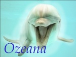 Ozeana