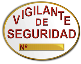 VIGILANTES DE SEGURIDAD Y EXPLOSIVOS 11429-89