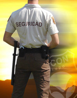 DEBATE GENERAL DE SEGURIDAD PRIVADA Y Operativas de servicio 1252-43