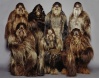 wookie collection (2)