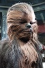 Wookie Collection Wookie12