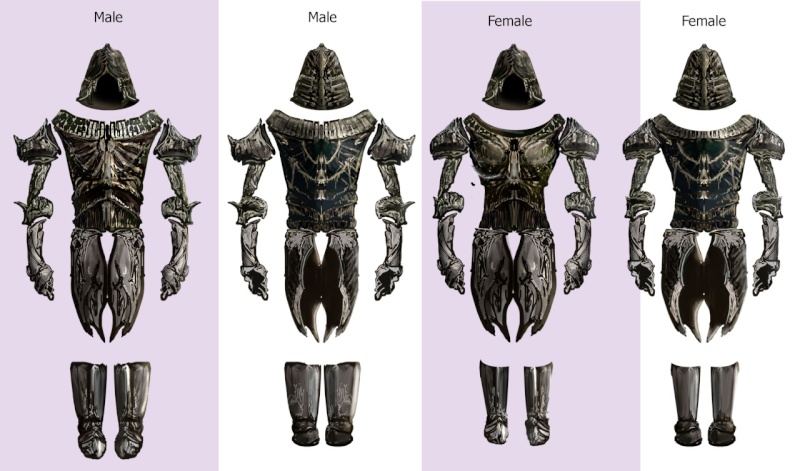 Armour 6 both gender