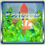 Pedypok