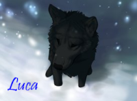 Luca