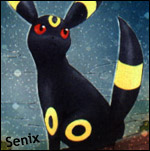 Senix