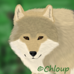 Chloup