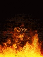 Noxx