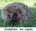 Joséphine85