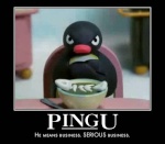 Pingu