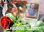 MahmouD.ElabD