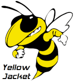 yellowjacket