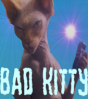 eh je suis une "bad kitty" x)