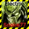 ElectricSnake77