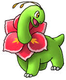 Meganium22