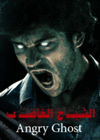 ايبك