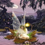 agualuna63