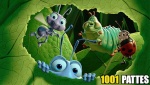 1001-pattes