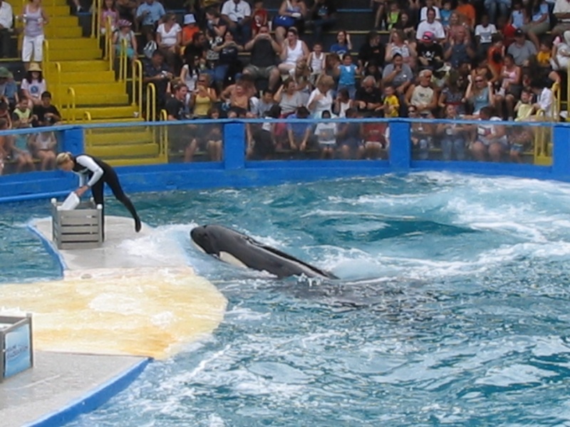 My trip to seaworld pictures part 1