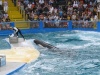 My trip to seaworld pictures part 1