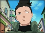 shikamaru nara