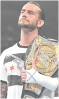 CM Punk™