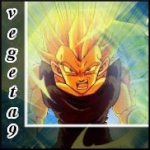 Vegeta9