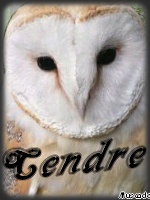 Cendre