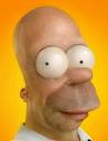 HOMERSCX