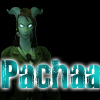 pachaa