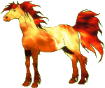 Aquali Horse