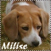 Milise