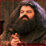 Hagrid