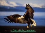 -=DM=-Aigle