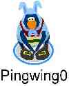 Pingwing0