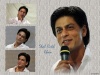 SRK's walls Sha52p10