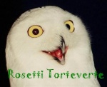 Rosetti Torteverte